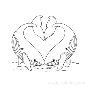 Two whales forming a heart with their tails.