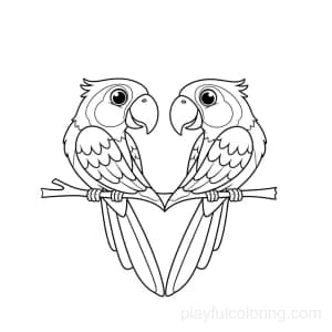 Two parrots forming a heart with their tails on a branch.