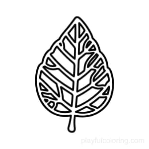A leaf skeleton pattern (kid-friendly, simplified veins), centered.