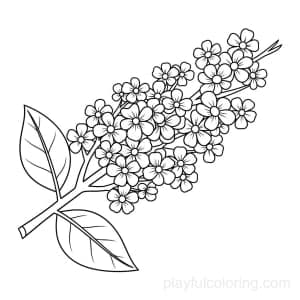 Spring: a blooming branch with small flowers and two leaves, gentle scene.