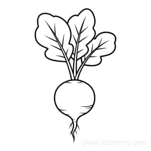 A radish with leafy tops and a root tail, minimal scene.